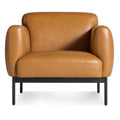Modern Canyon Leather Steel Chairs