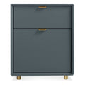 Modern Marine Blue File Cabinets with Storage