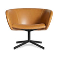 Modern Canyon Leather Steel Chairs